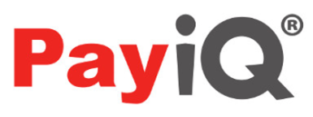 PayiQ logo