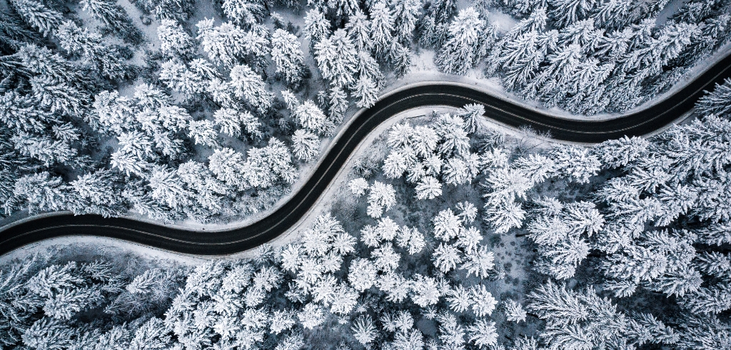 Aerial view of wintery forest