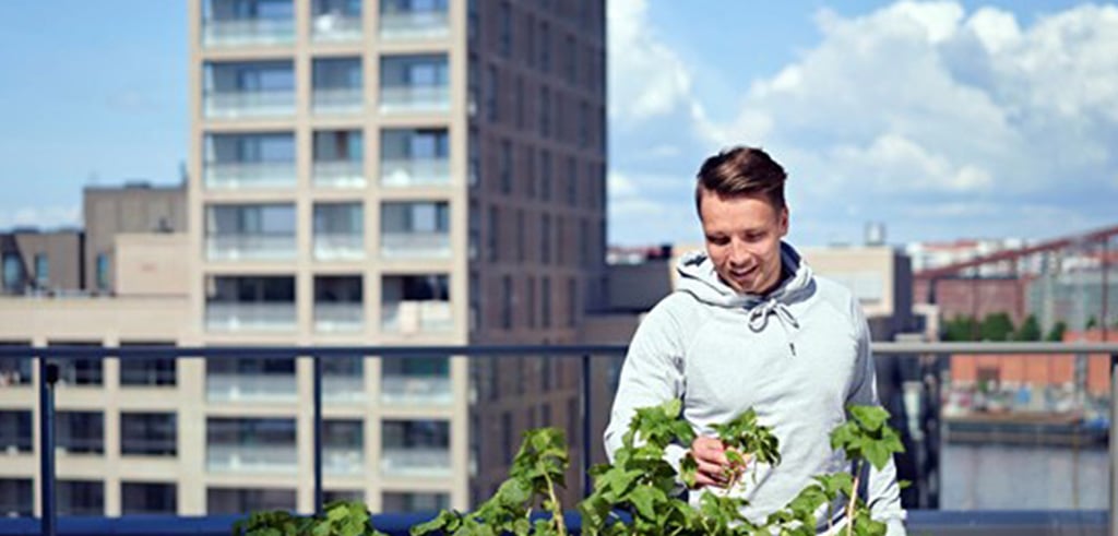Business Finland aims to make Finland a globally recognized provider of sustainable, carbon-neutral solutions for cities