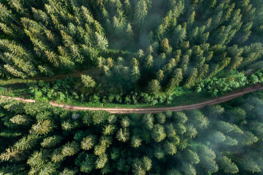 AI Identifies Damages: Gravel Road Mapping and Night Driving Transform Predictive Maintenance